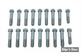 VISSERIE DE CULASSE - KIT DE VIS -  INDIAN - OEM 37216 / 35B85 /  32I0359D - Indian Chief Aluminum Head Bolt Set - LE KIT