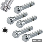 VIS TETE 12 POINTS - M6 X 20mm - CHROME - LE PAQUET 5 PIECES